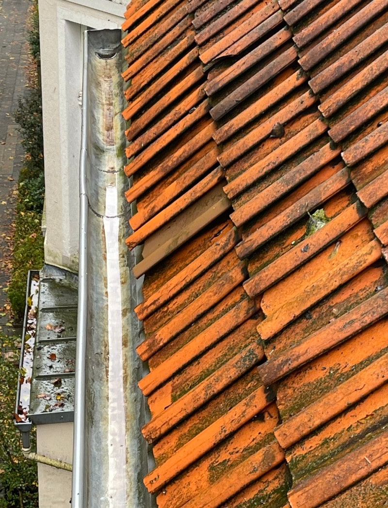 Dachrinnenreinigung Dortmund nachher