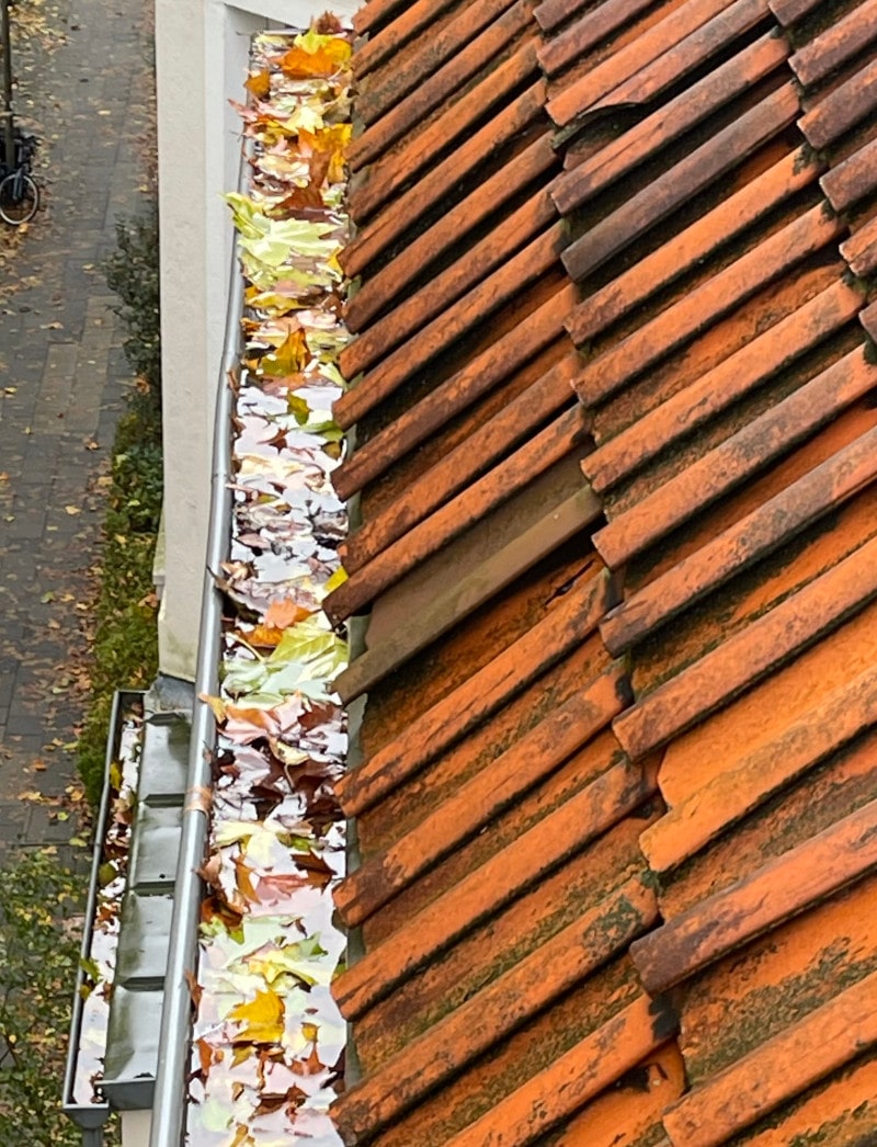 Dachrinnenreinigung Dortmund vorher